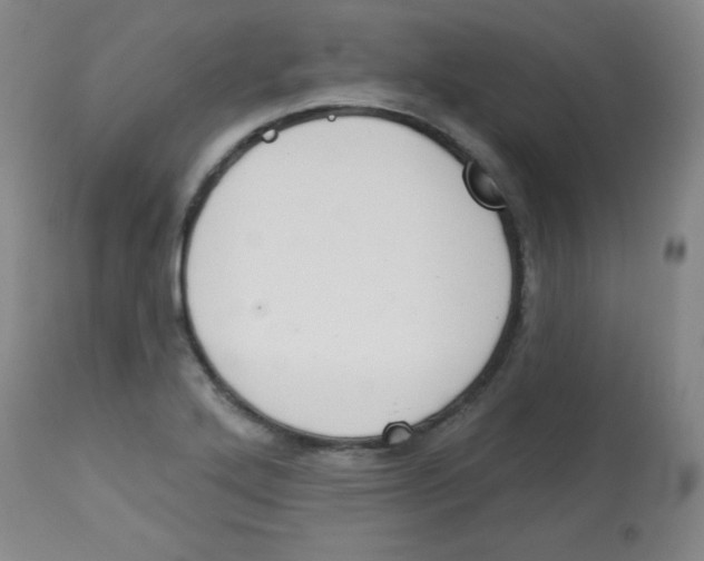 X0000113741272200910211117