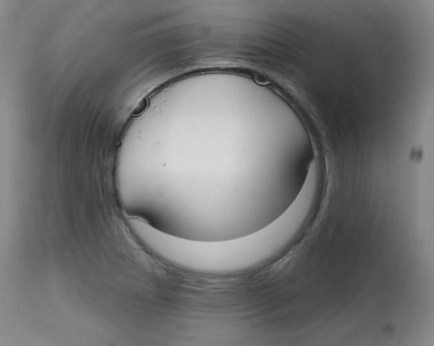 X0000113741273200910211117