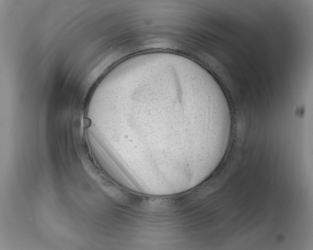 X0000113741274200910211117