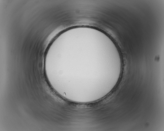 X0000113741275200910211116