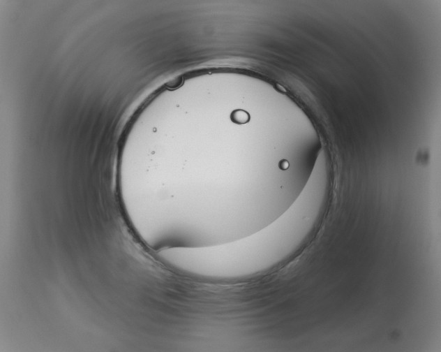 X0000113741276200910211116