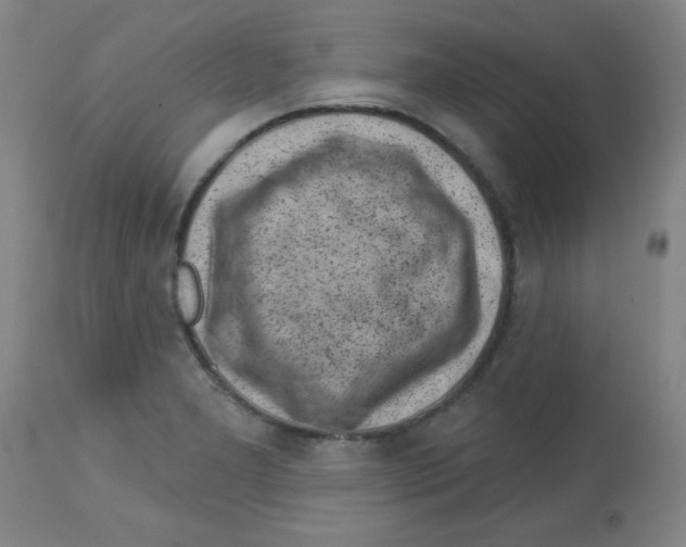 X0000113741277200910211116