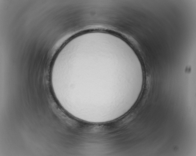 X0000113741279200910211116