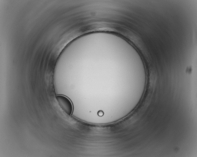 X0000113741281200910211116