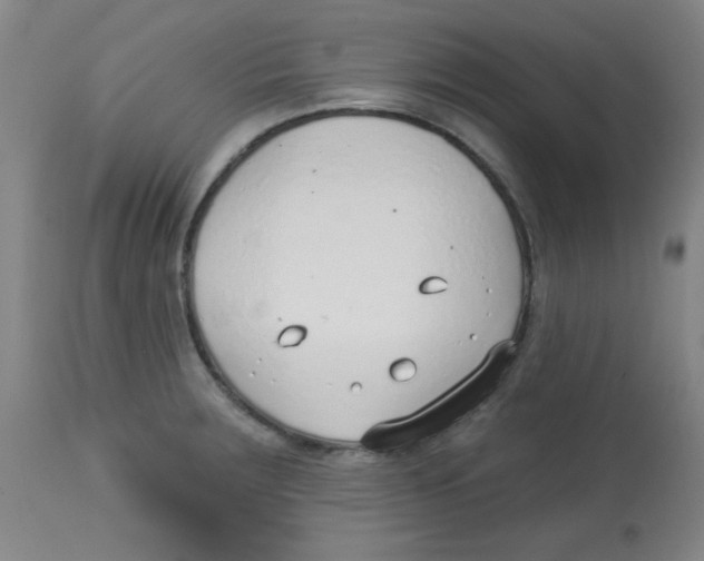 X0000113741283200910211116
