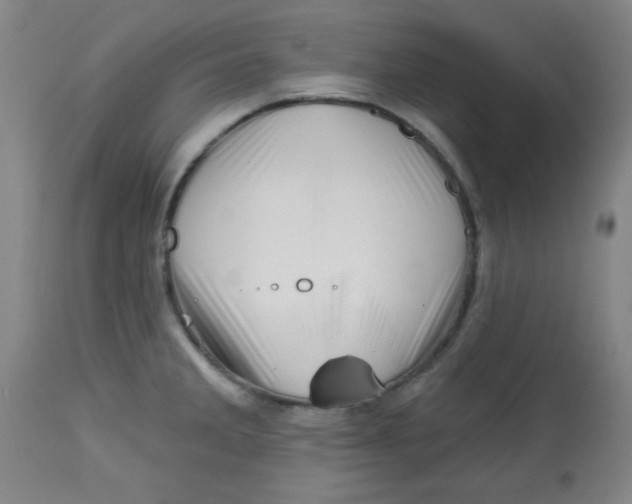 X0000113741285200910211116