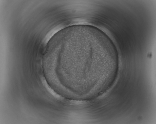 X0000113741289200910211116
