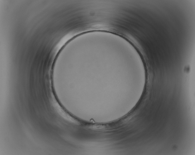 X0000113741291200910211116