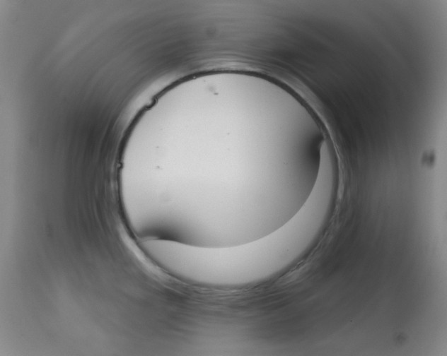 X0000113741293200910211116