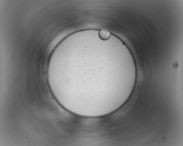 X0000113741294200910211116