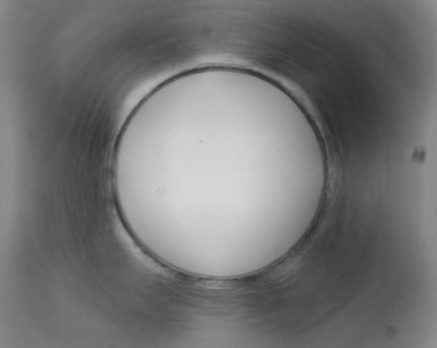 X0000113741295200910211116