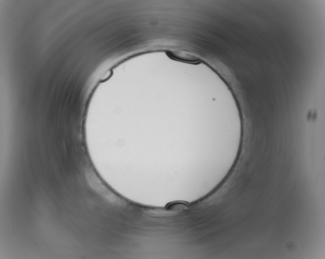 X0000113741296200910211116
