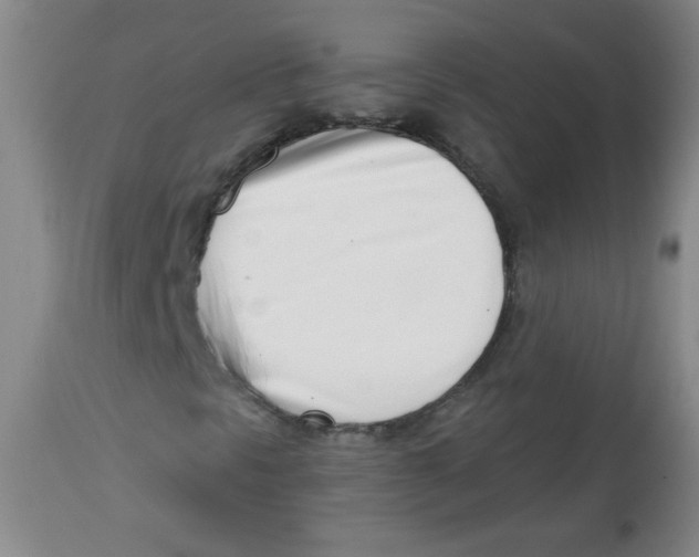 X0000113741297200910211116
