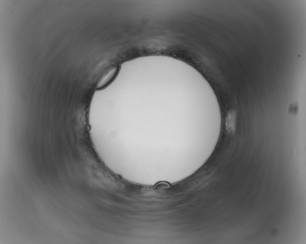 X0000113741299200910211116