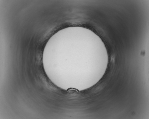 X0000113741300200910211116