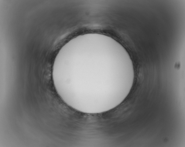 X0000113741301200910211116