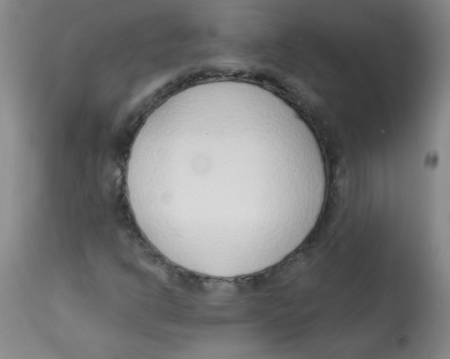 X0000113741302200910211116