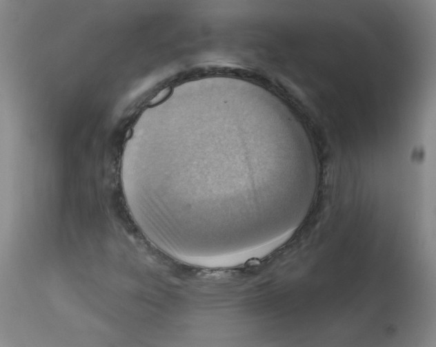 X0000113741303200910211116