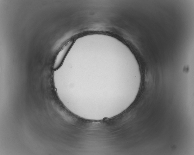 X0000113741304200910211116
