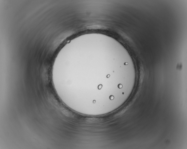 X0000113741305200910211116