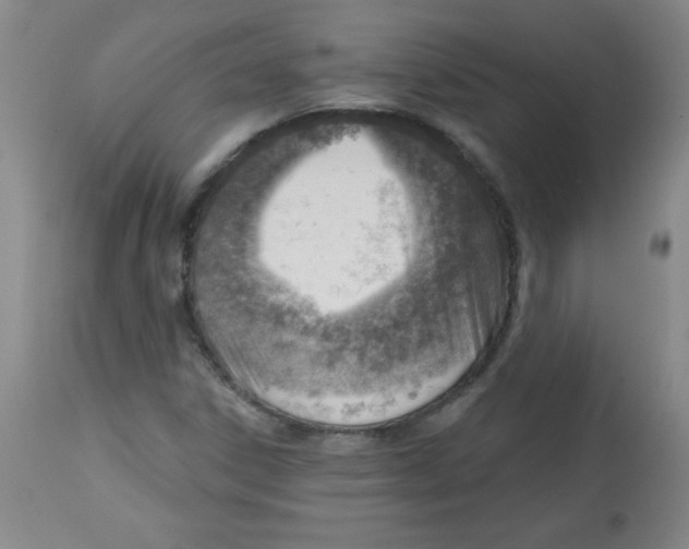 X0000113741306200910211116