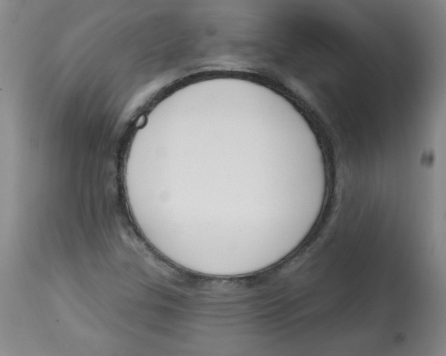 X0000113741307200910211116