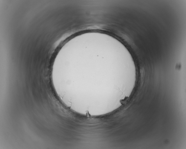 X0000113741308200910211116