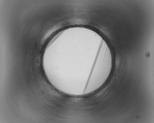 X0000113741309200910211116