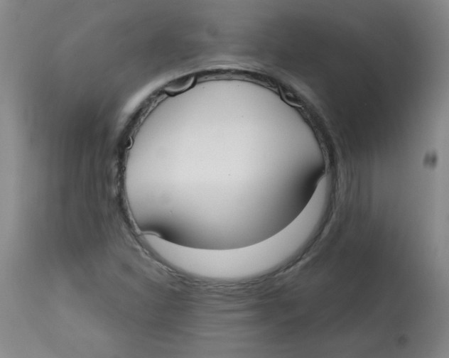 X0000113741310200910211116