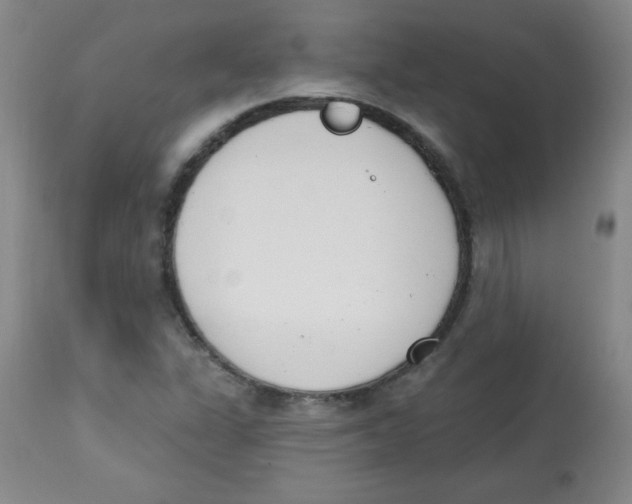 X0000113741311200910211116