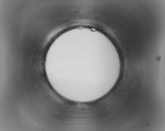 X0000113741312200910211116
