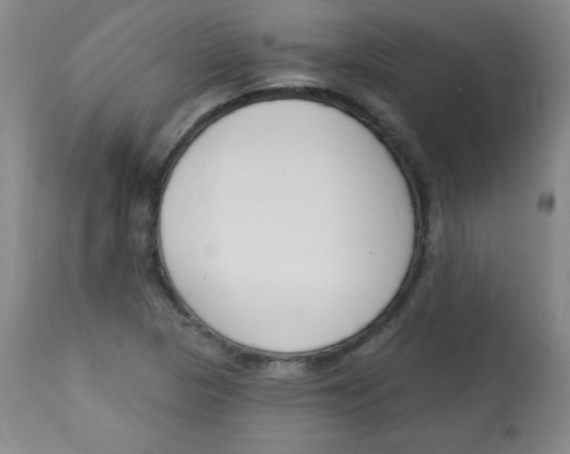 X0000113741313200910211116