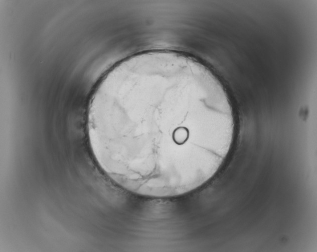X0000113741314200910211116