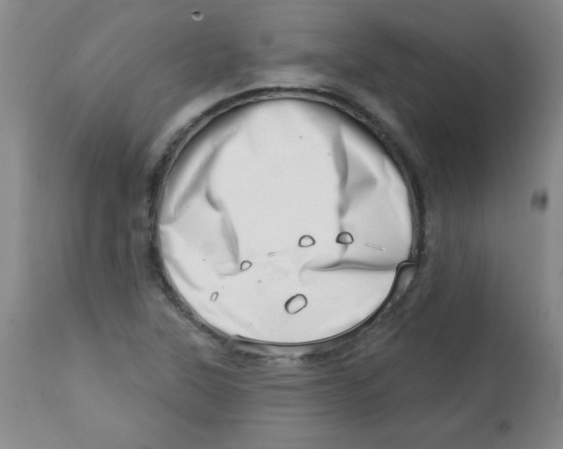 X0000113741315200910211116