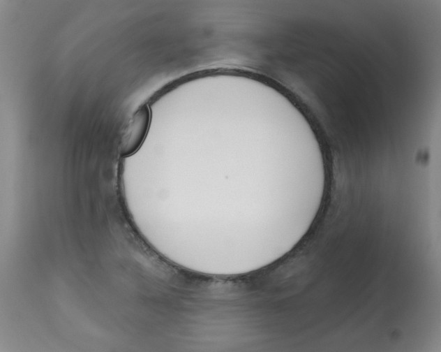 X0000113741316200910211116