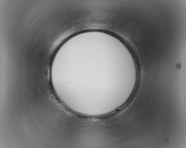 X0000113741317200910211116