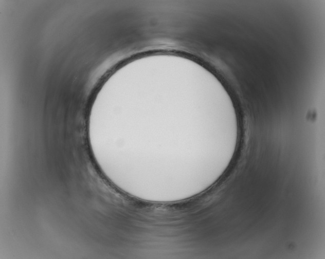 X0000113741318200910211116