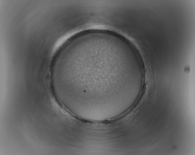 X0000113741319200910211116