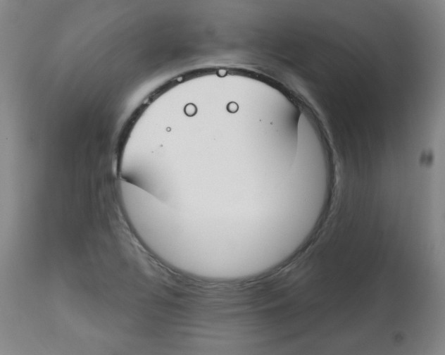 X0000113741320200910211116