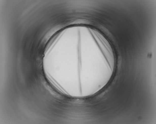 X0000113741321200910211116