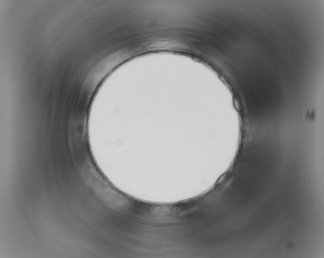X0000113741322200910211116