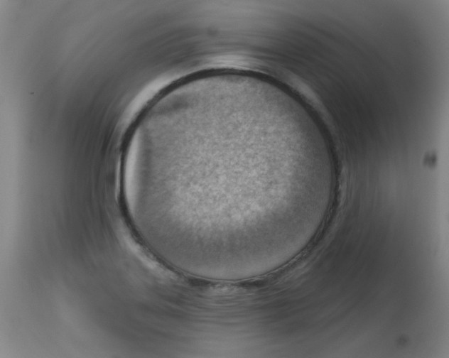 X0000113741323200910211116