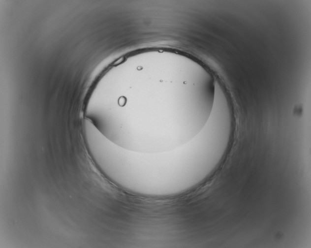 X0000113741324200910211116