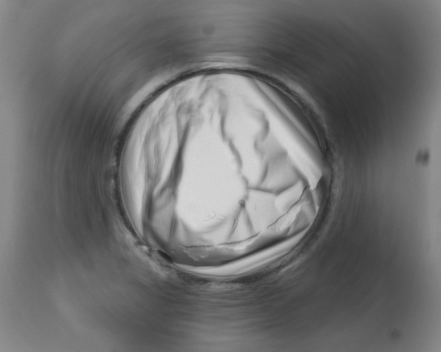 X0000113741325200910211116