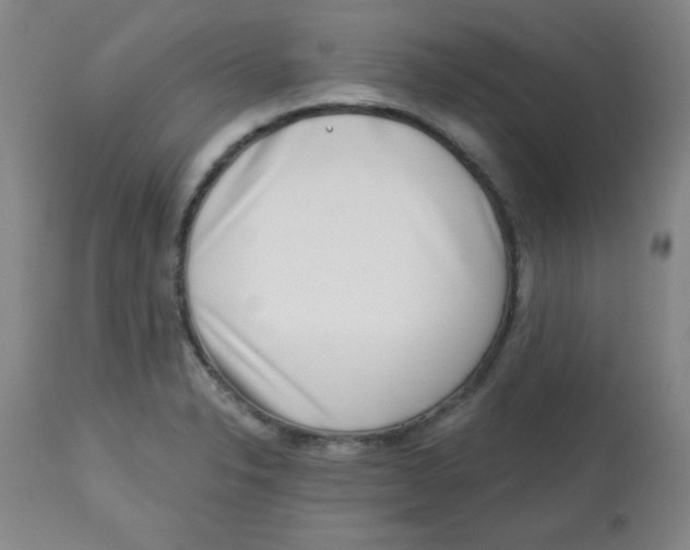 X0000113741326200910211116