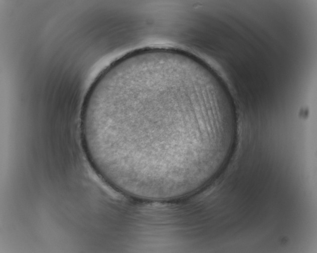 X0000113741327200910211116