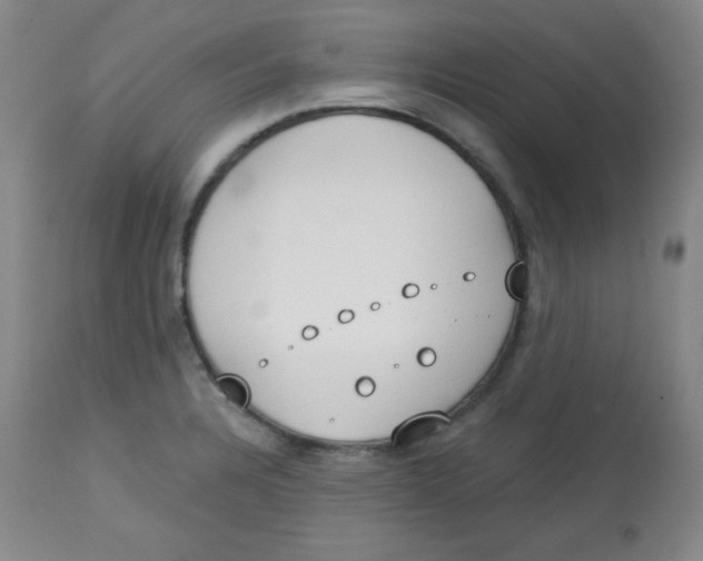 X0000113741328200910211116