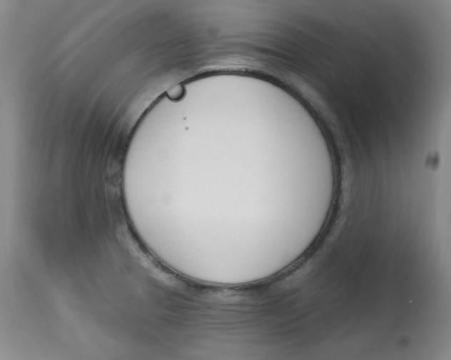 X0000113741329200910211116