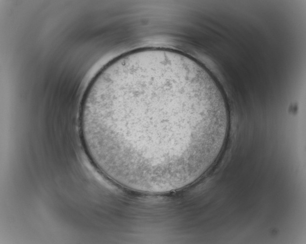 X0000113741331200910211116