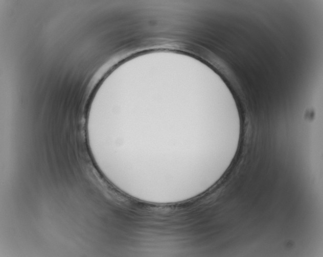 X0000113741332200910211116